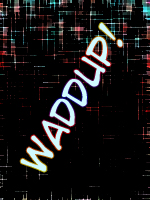 Waddup User Avatar