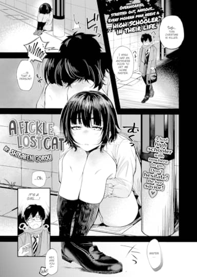 A Fickle Lost Cat Hentai Image