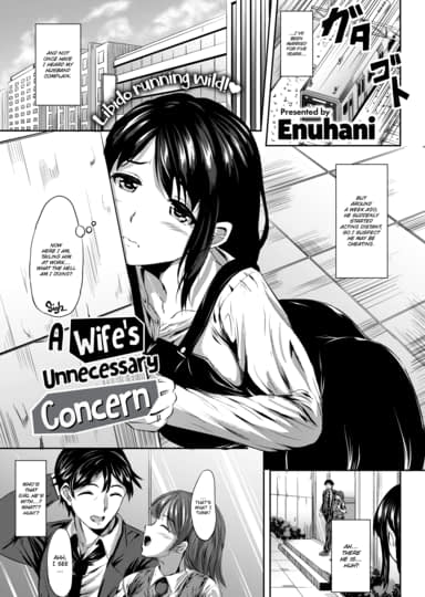 A Wife's Unnecessary Concern Cover