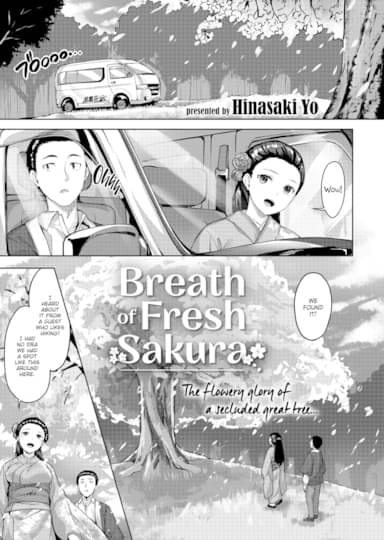 Breath of Fresh Sakura Hentai Image