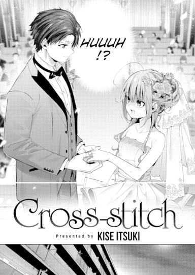 Cross-Stitch Cover