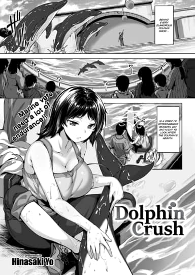 Dolphin Crush Cover