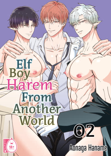Elf Boy Harem From Another World 2 Cover