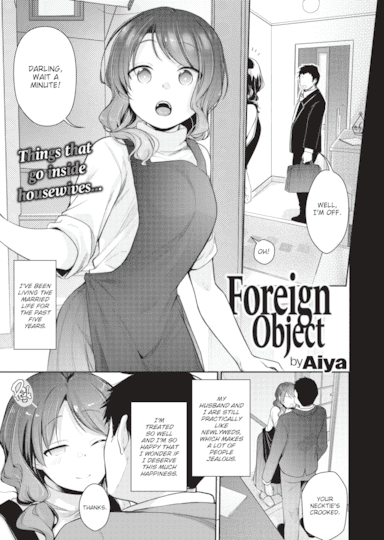 Foreign Object Hentai