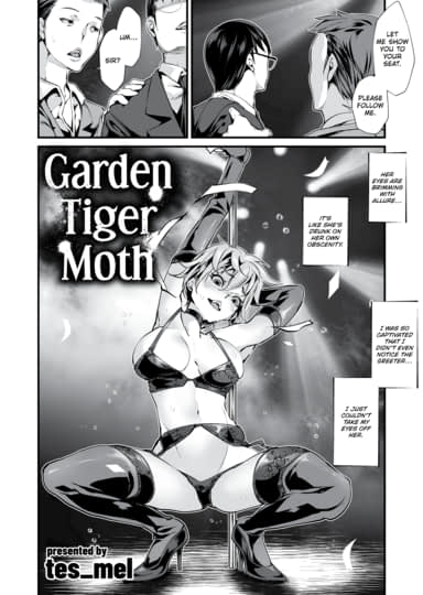Garden Tiger Moth Cover