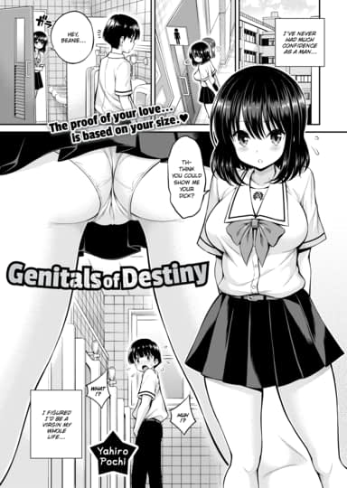 Genitals of Destiny Hentai Image