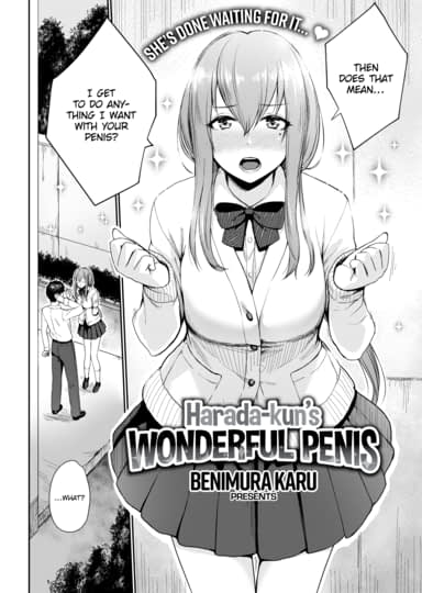 Harada-kun's Wonderful Penis Cover