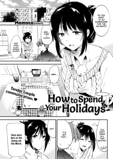 How to Spend Your Holidays Cover