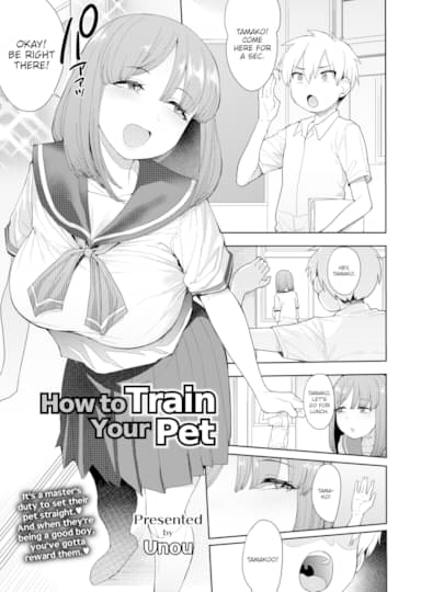 How to Train Your Pet Hentai Image