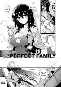 Perfect Family Cover