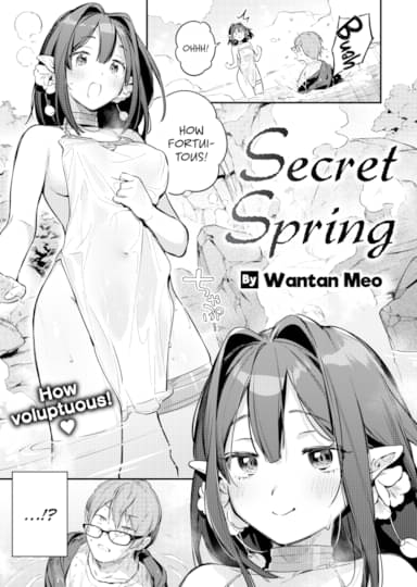 Secret Spring Cover