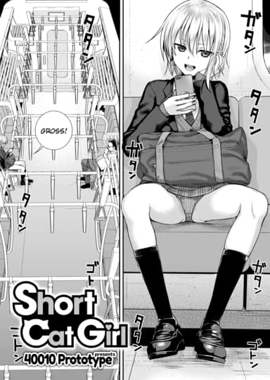 Short Cat Girl Hentai Image