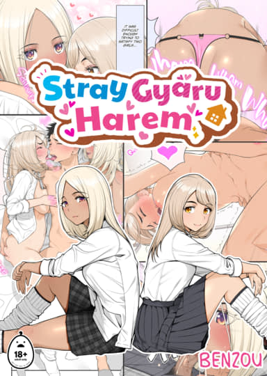 Stray Gyaru Harem Hentai