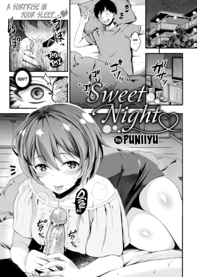 Sweet Night Hentai Image