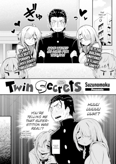 Twin Secrets Cover