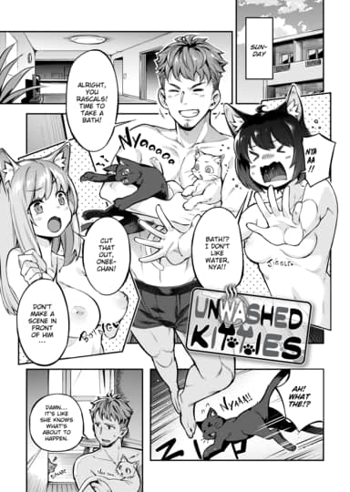 Unwashed Kitties Hentai