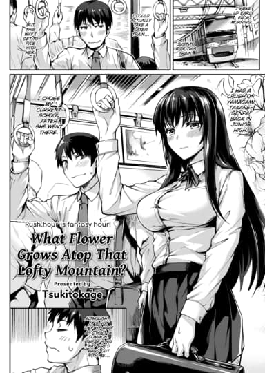 What Flower Grows Atop That Lofty Mountain? Hentai Image