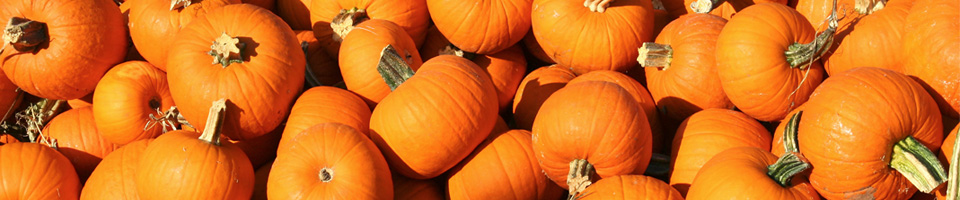 Pumpkin Carving Contest 2012!