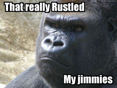 Someone really rustled my jimmies...
